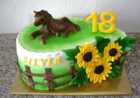 /album/narodeninove-torty/slza-s-konom-jpg/